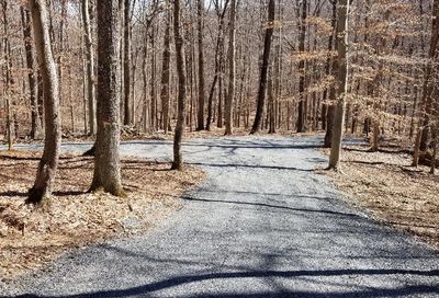 Stumptown Leesburg VA 20175