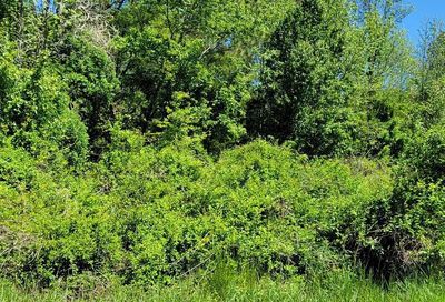 Burnt Mill Road Ridgely MD 21660