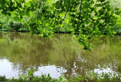 River Bend Lane Millington MD 21651