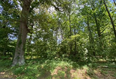 E Deep Branch Road, Route 315 Georgetown DE 19947