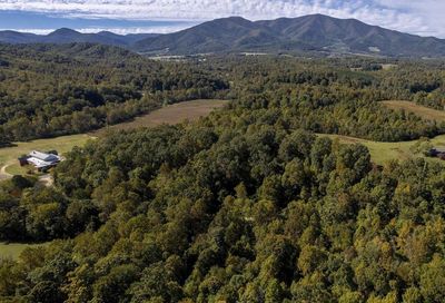 259 Fleetwood Hill Dr Massies Mill VA 22967
