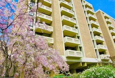 1245 4th Street SW E-611 Washington DC 20024