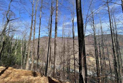 Beech Grove Rd Roseland VA 22967