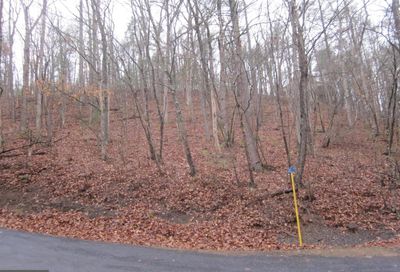 Stonewall Drive Basye VA 22810