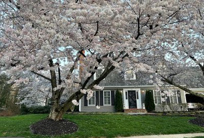 1502 Chain Bridge Court Mclean VA 22101