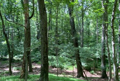 Bear Branch Westminster MD 21157