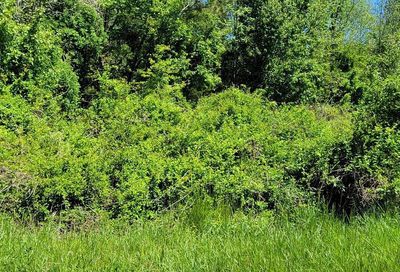Burnt Mill Road Ridgely MD 21660