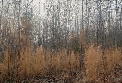 Mountain Creek Rd 16 Green Bay VA 23942