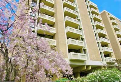 1245 4th Street SW E-611 Washington DC 20024