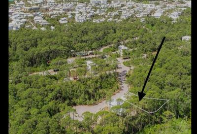 65 Silver Maples Drive Seacrest FL 32461