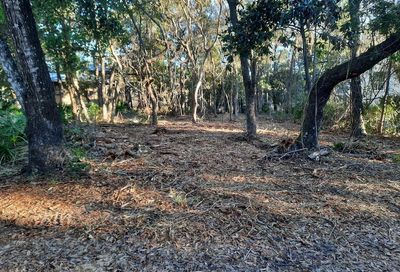 Lot 20 Canal Street Santa Rosa Beach FL 32459