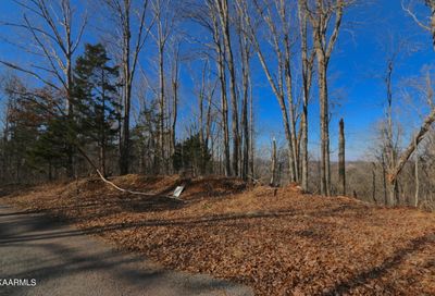 Lot 79 Polly Mountain Rd Madisonville TN 37354