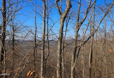Lot 135 Polly Mountain Rd Madisonville TN 37354