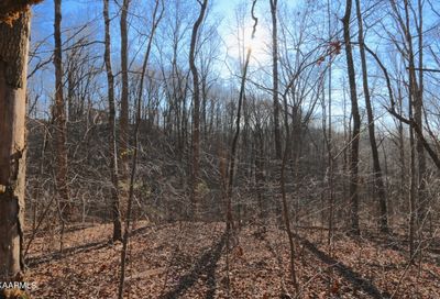 Lot 91, 92 Polly Mountain Rd Madisonville TN 37354