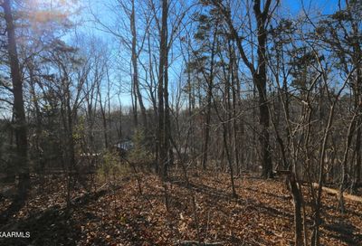 Lot 138, 139 Polly Mountain Rd Madisonville TN 37354