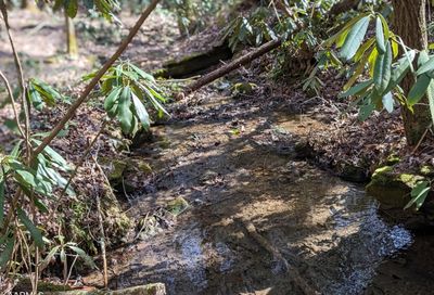 Wilson Rd Tellico Plains TN 37385