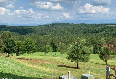 141 Overlook Way Vonore TN 37885