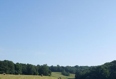 229 County Rd. 296 Sweetwater TN 37874