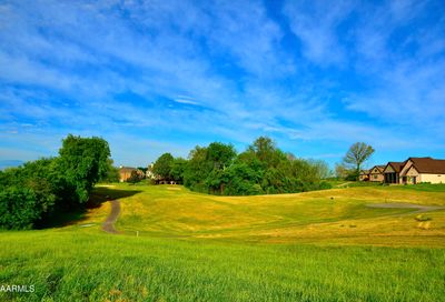 185 Killdeer Drive Vonore TN 37885