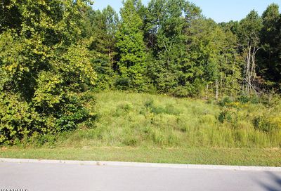 00 Shadows Lawn Drive Athens TN 37303