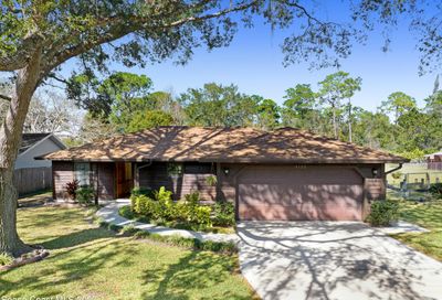 4130 Blackgum Drive Mims FL 32754