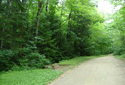 00 Albert Street Moultonborough NH 03254
