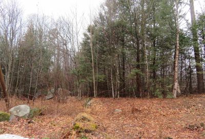 Lot # 46 (133) Black's Landing Road Moultonborough NH 03254
