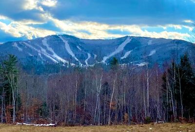 Seaward Drive Danbury NH 03230