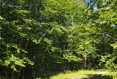 22 Catamount Road Grantham NH 03753
