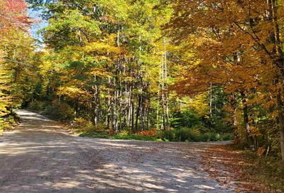 23 Millbrook Road Grafton NH 03240