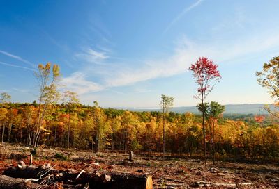 000 Gould Hill Road Hopkinton NH 03229