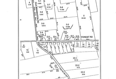 Forrest, Old Bennington, County Road Greenfield NH 03047