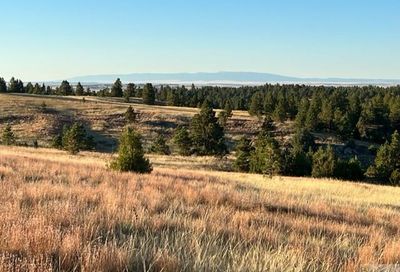 Tbd Buffalo Highway Lavina MT 59046