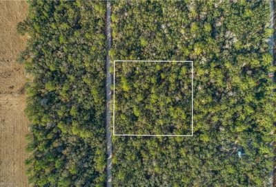 SE Wild Turkey Rd SE Branford FL 32088