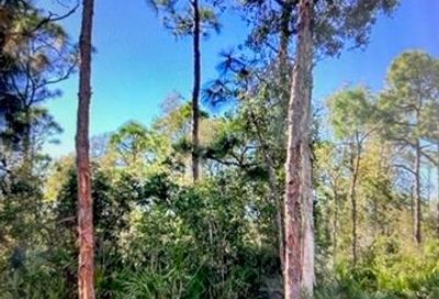 8945 Evergreen Ln St. James City FL 33956
