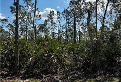 12150 Hindle Ave Punta Gorda FL 33955