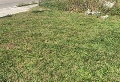 6855 NW 17th Ave Miami FL 33147