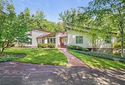 18 Farm Road Chester Twp. NJ 07930