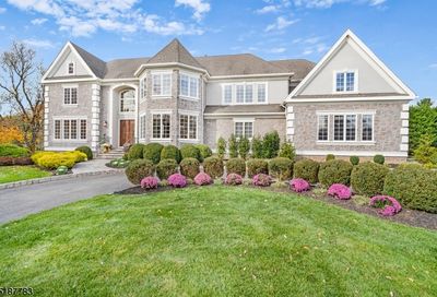 6 Evergreen Ct Warren Twp. NJ 07059-7046