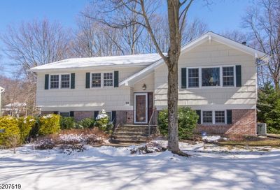 22 Clover Ln Randolph Twp. NJ 07869-4529
