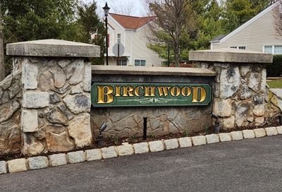 49 Birchwood Rd Bedminster Twp. NJ 07921-1903