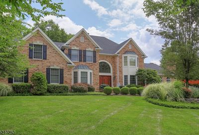 26 William Penn Rd Warren Twp. NJ 07059-5038