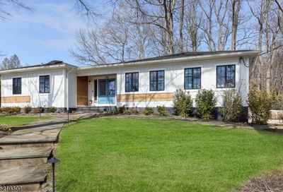 60 Lawrence Dr Millburn Twp. NJ 07078-3114