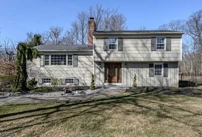 27 Hunters Trl Warren Twp. NJ 07059-7105