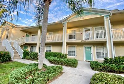 25735 Lake Amelia Way Bonita Springs FL 34135