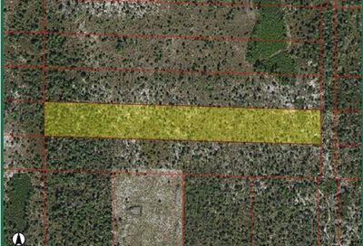 Off Blackburn Rd Naples FL 34117