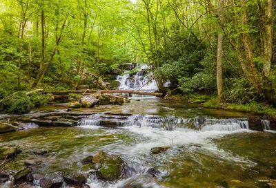 23036 Wayah Road Topton NC 28781