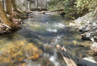 Big Creek Road Blue Ridge GA 30513