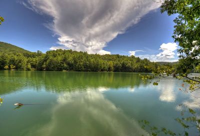 20 Magnolia Drive Blue Ridge GA 30513