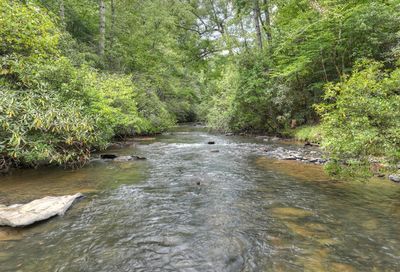 27 Riverview Lane Cherry Log GA 30522